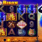 Slot Mania Bison